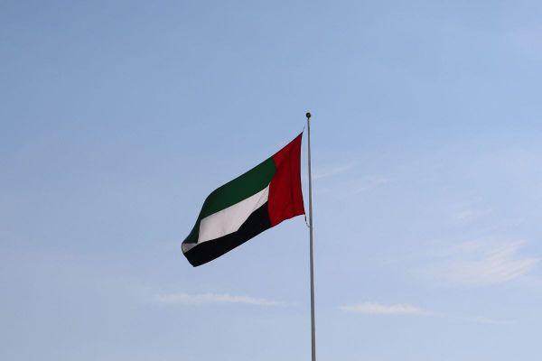 UAE Leads Arab Region in Automotive Investment and Business for 2024