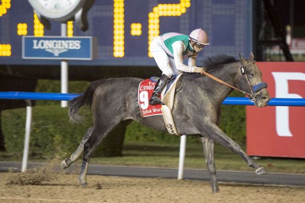 Dubai Racing Club Partners with Breeders’ Cup for Automatic Berths