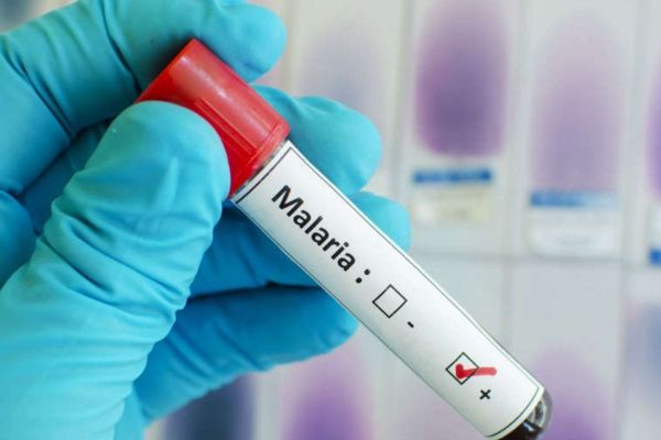 UAE and WHO Collaborate to Launch Database to Combat Malaria in 18 Countries