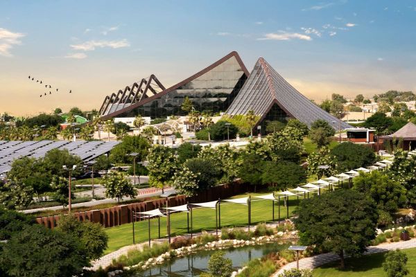 Dubai Safari Park Achieves Record-Breaking Season with Surge in Visitors and Conservation Milestones