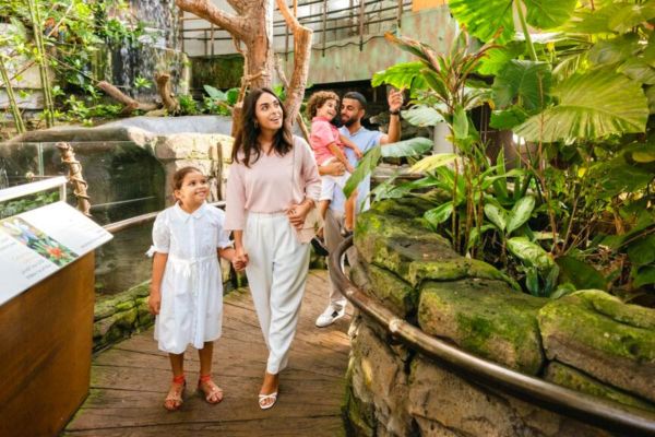Indoor Fun: Marketing Dubai's Summer Tourist Attractions