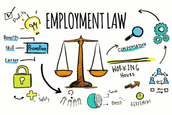 A Guide to the UAE's Evolving Labor Laws for Employers and Employees