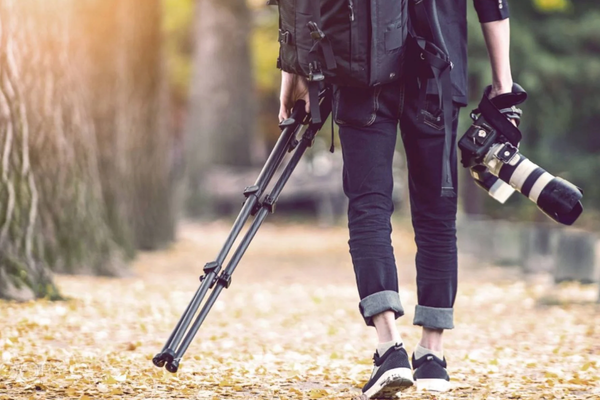 Art vs. Algorithm: The Silent Struggle of Photographers and Videographers