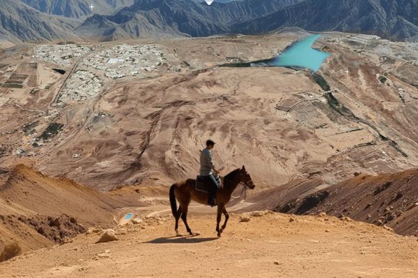 Dubai Municipality Launches First Sand Equestrian Track in Hatta