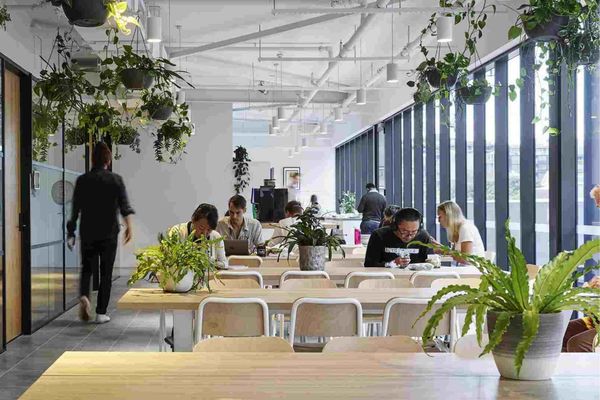 The Benefits of Co-working Spaces for Entrepreneurs