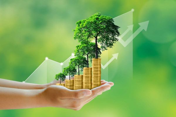 How Eco-Friendly Practices Win Customers in Dubai