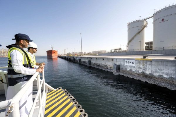 DP World Advances Marine Habitat Restoration With Living Seawalls at Jebel Ali Port