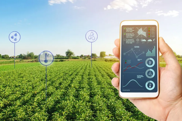 How to Start an Agribusiness in Dubai: A 2026 Investor’s Roadmap