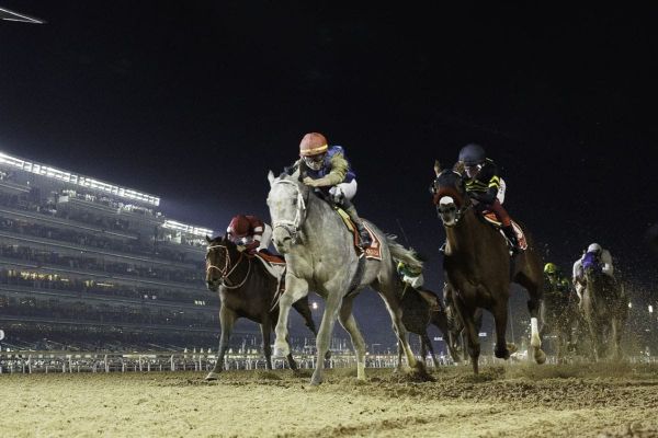 Dubai World Cup Draws Global Field to Meydan Racecourse
