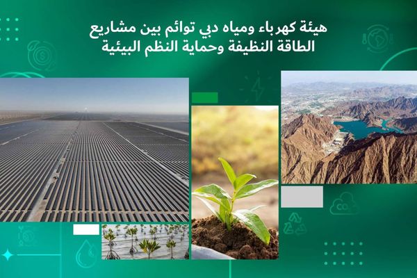 DEWA Advances Clean Energy Projects While Strengthening Environmental Protection