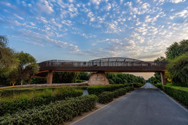 Dubai Municipality Opens New Mountain Biking and Hiking Bridge at Mushrif National Park