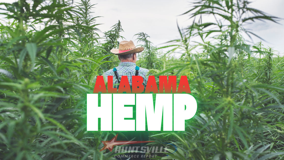 Man walking through hemp field
