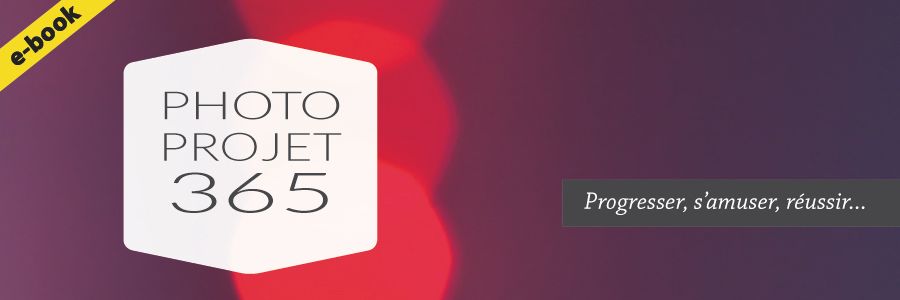 Projet 365 : un e-book pour réussir