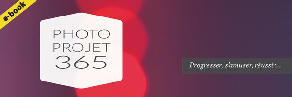 Projet 365 : un e-book pour réussir