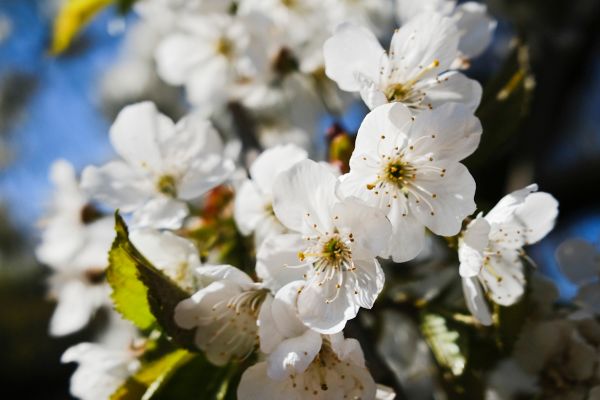 Méditation 5-4-3-2-1