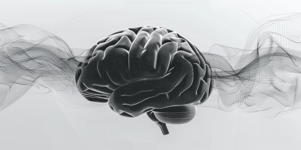 Les différents types d'ondes cérébrales et les états  de conscience associés