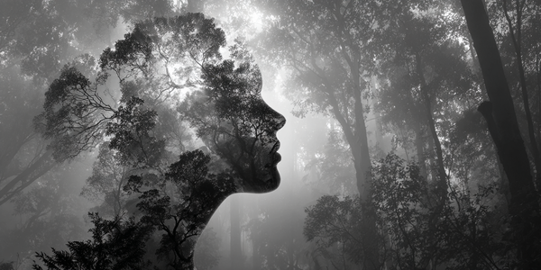 Naturalistes sans le savoir