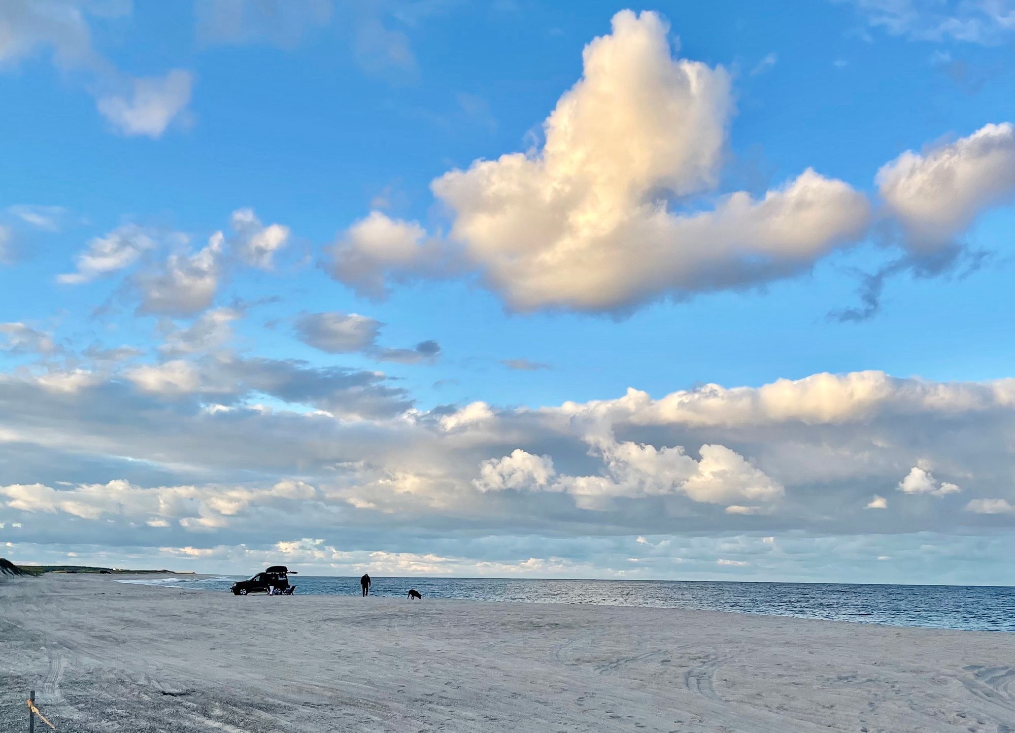 Preview of Town Meeting —        May 9, 2022