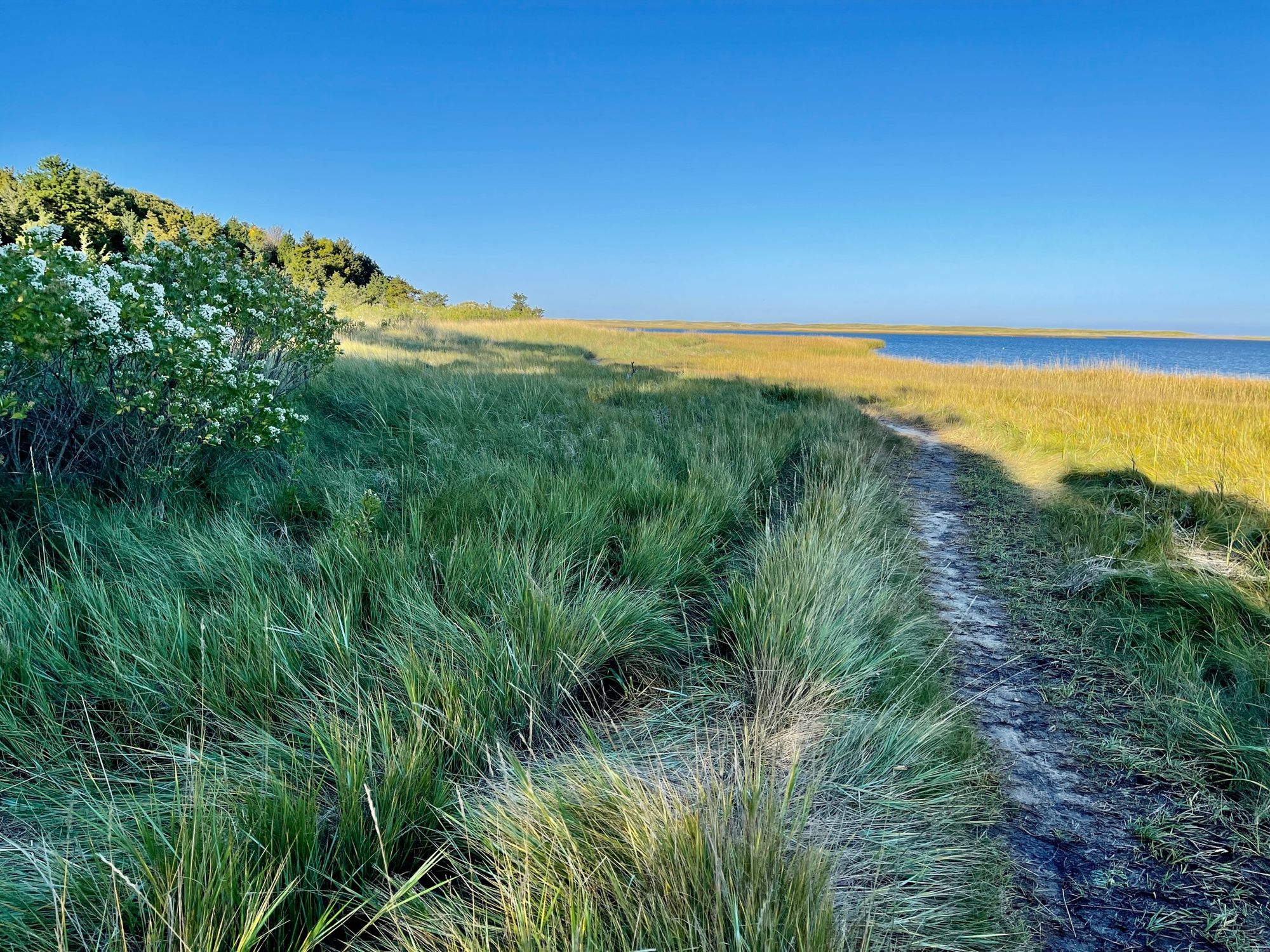 Preview of Special Town Meeting — Oct. 17, 2022