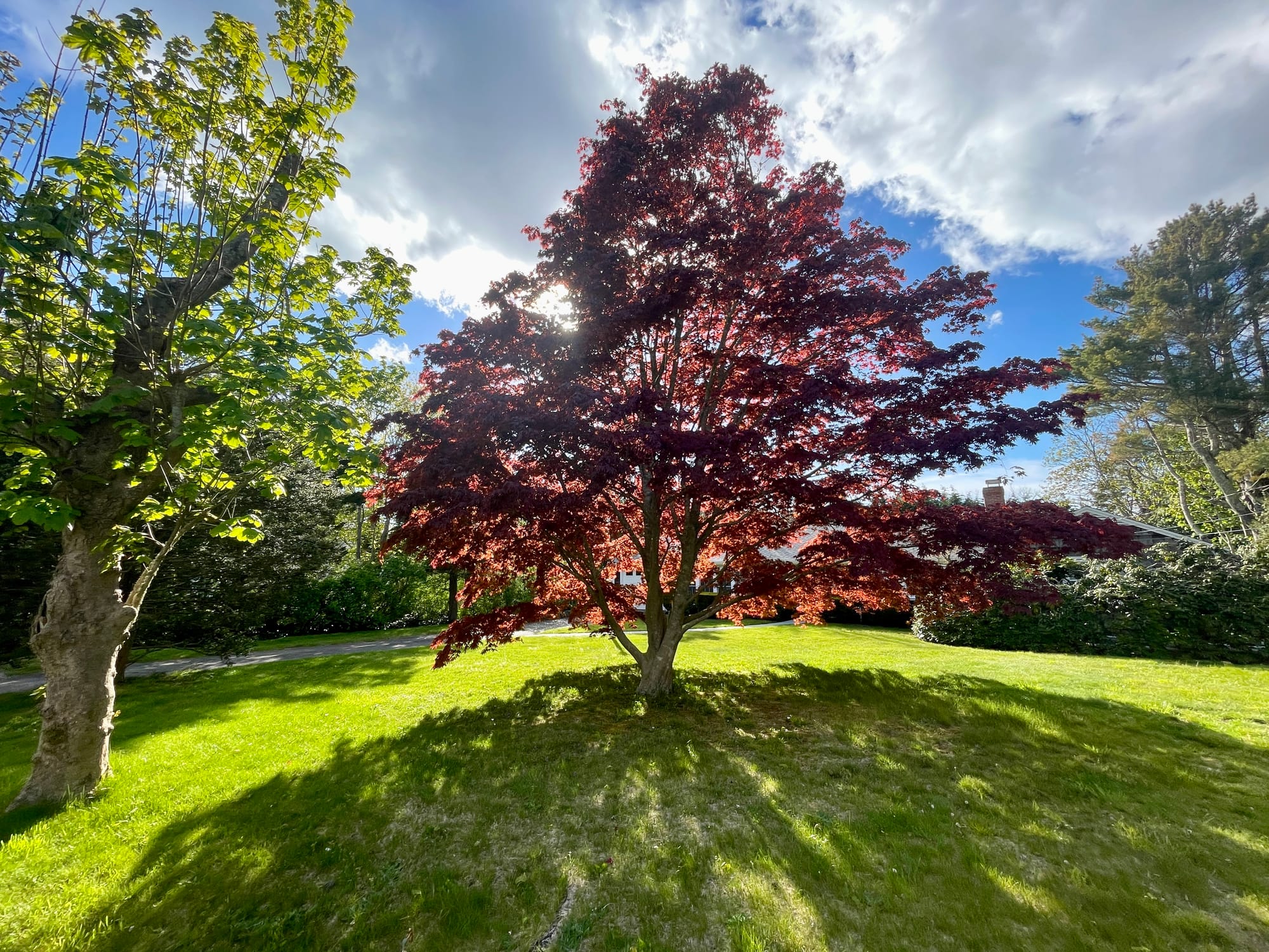 Preview of Town Meeting — May 12, 2025