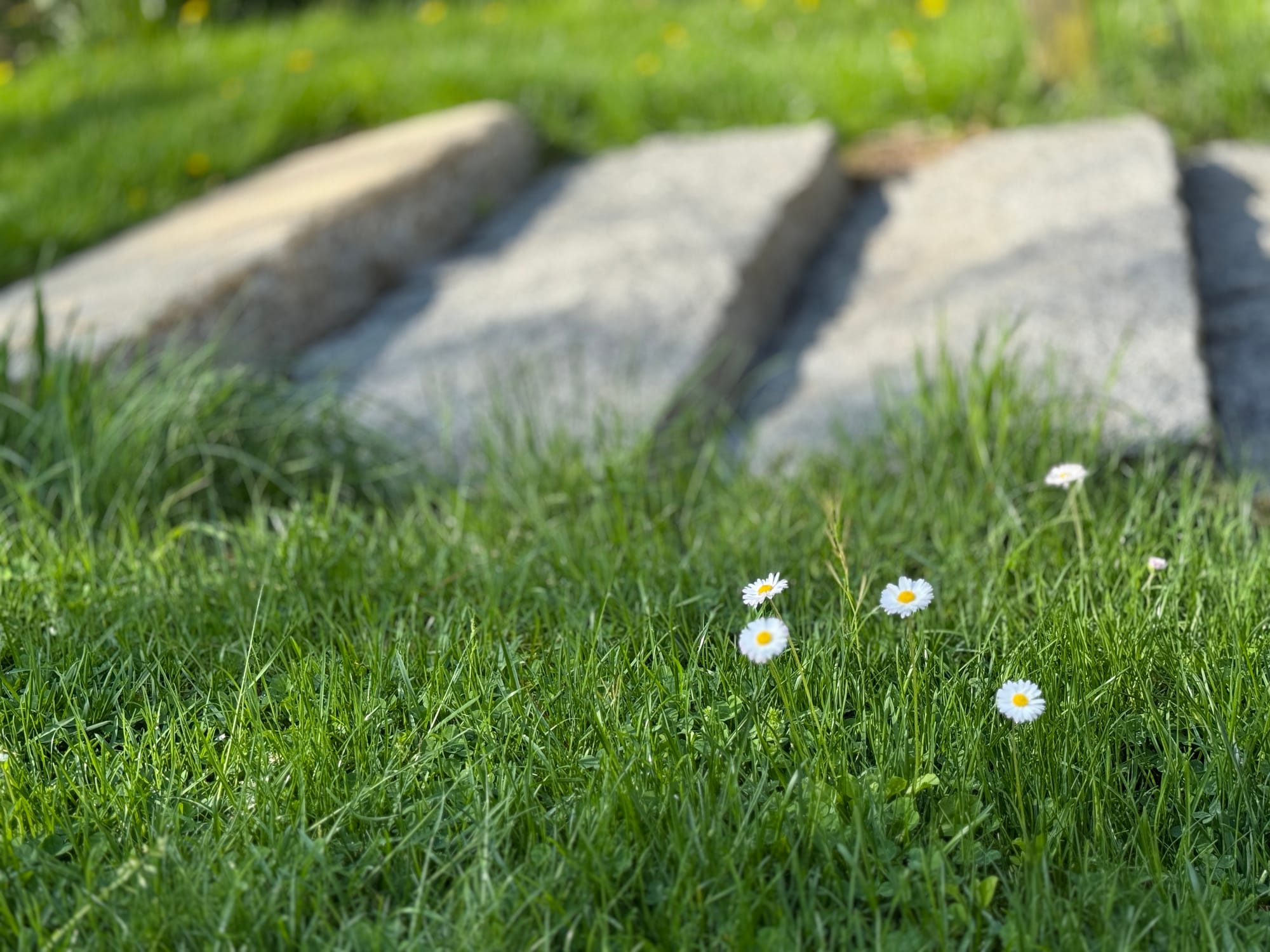 Town Meeting Tomorrow!