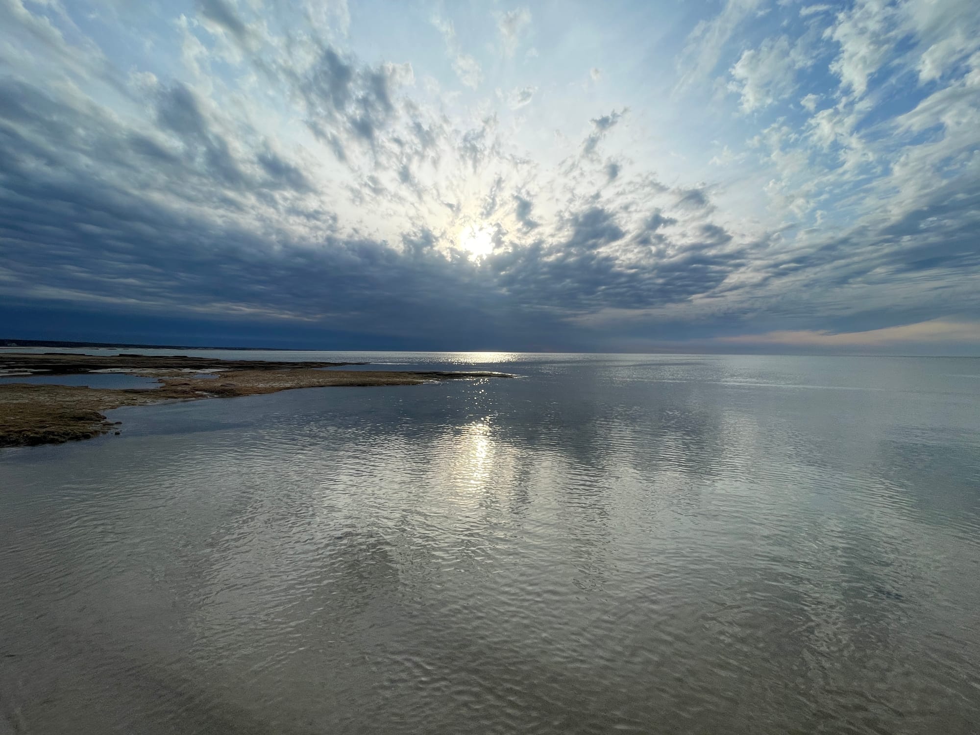 Environment