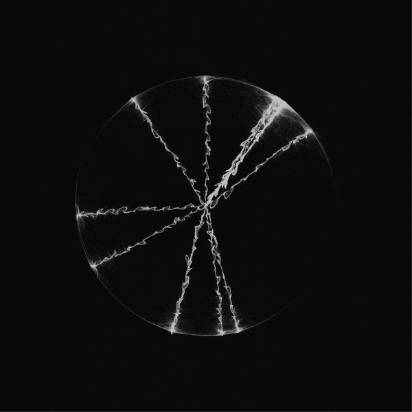 All SEXP artists of the day in a 3D gallery