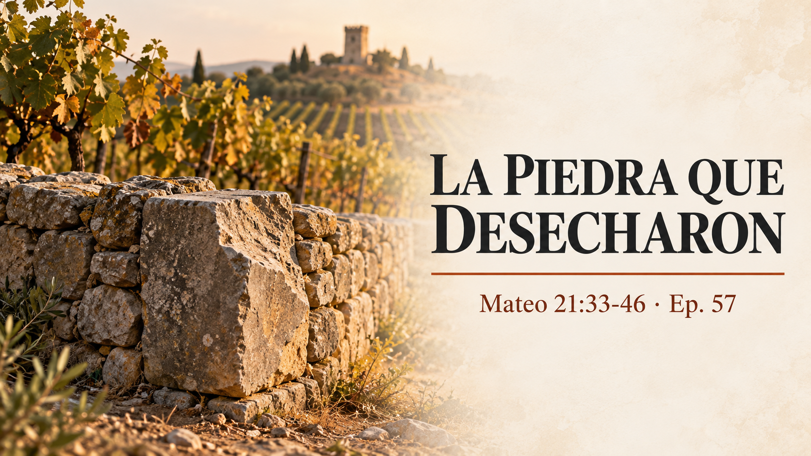 Felicidades, somos labradores; la viña que otro plantó - Mateo 21:33-46