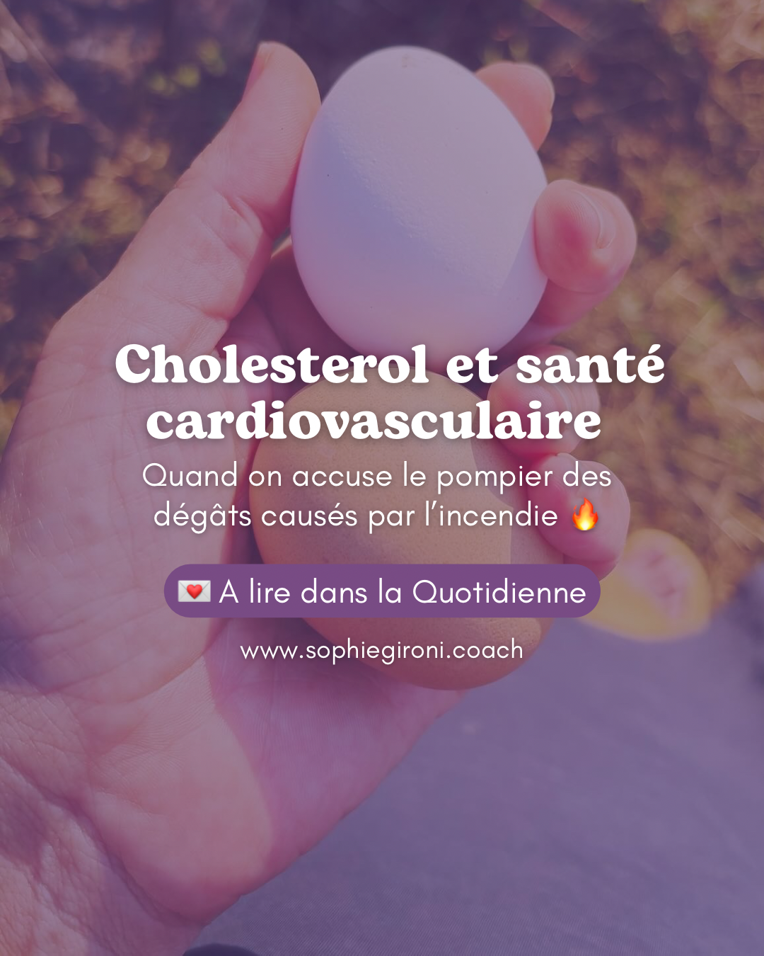 Le jour où on a décidé que les œufs étaient dangereux 🍳