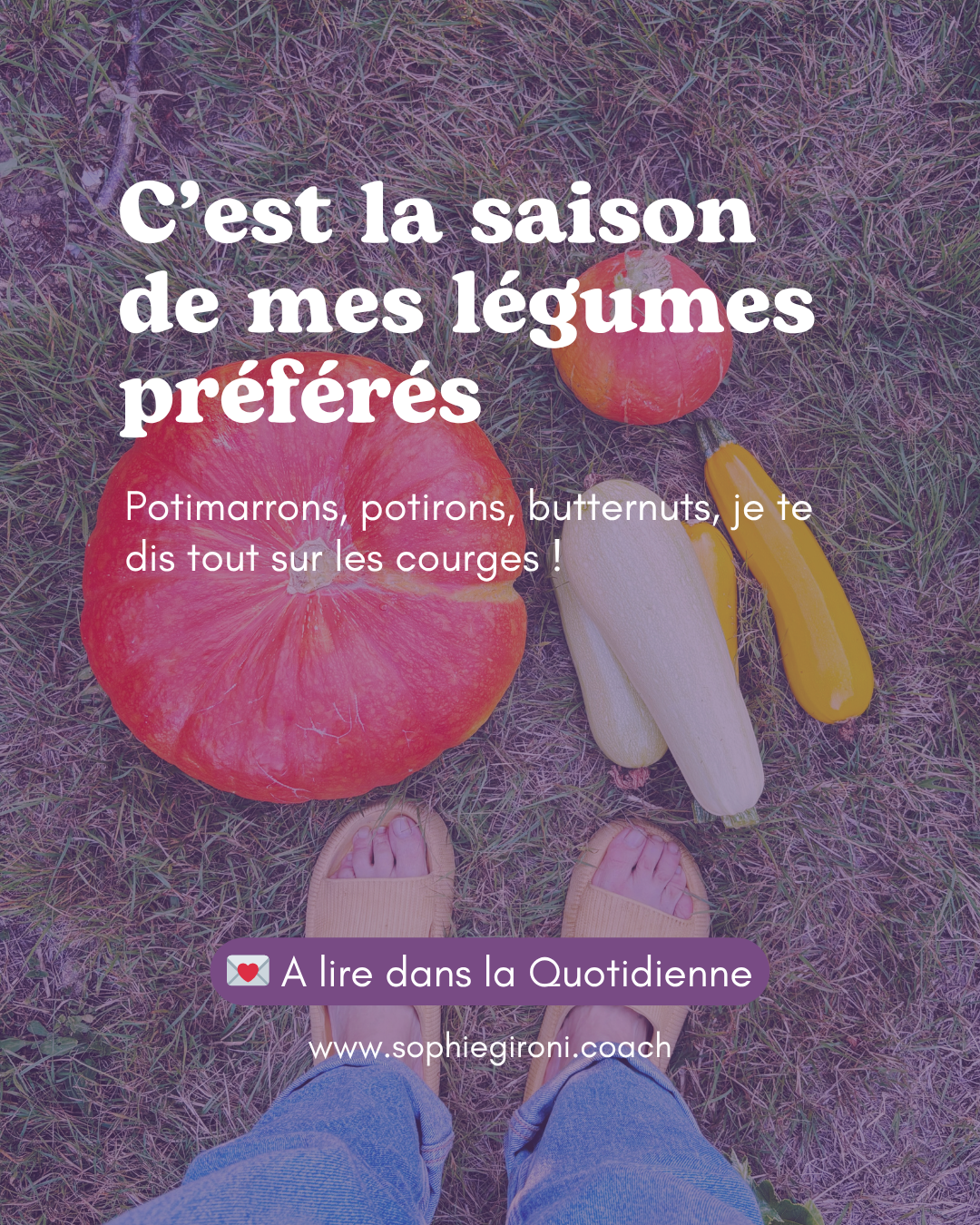 Potimarrons, potirons, butternuts, je te dis tout sur les courges