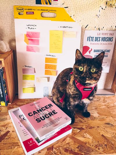 🔮 Visualiser ne suffit pas : il faut rompre avec ce qui te freine