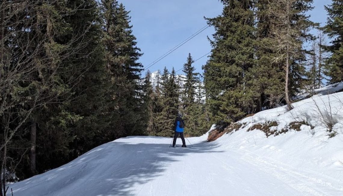 Les Arcs beginners slopes with trees next to them