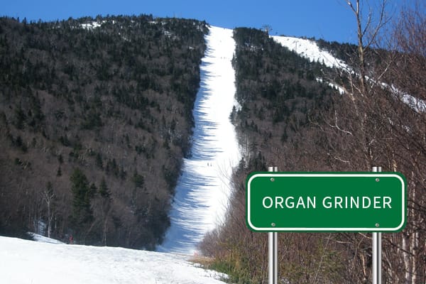Sugarbush