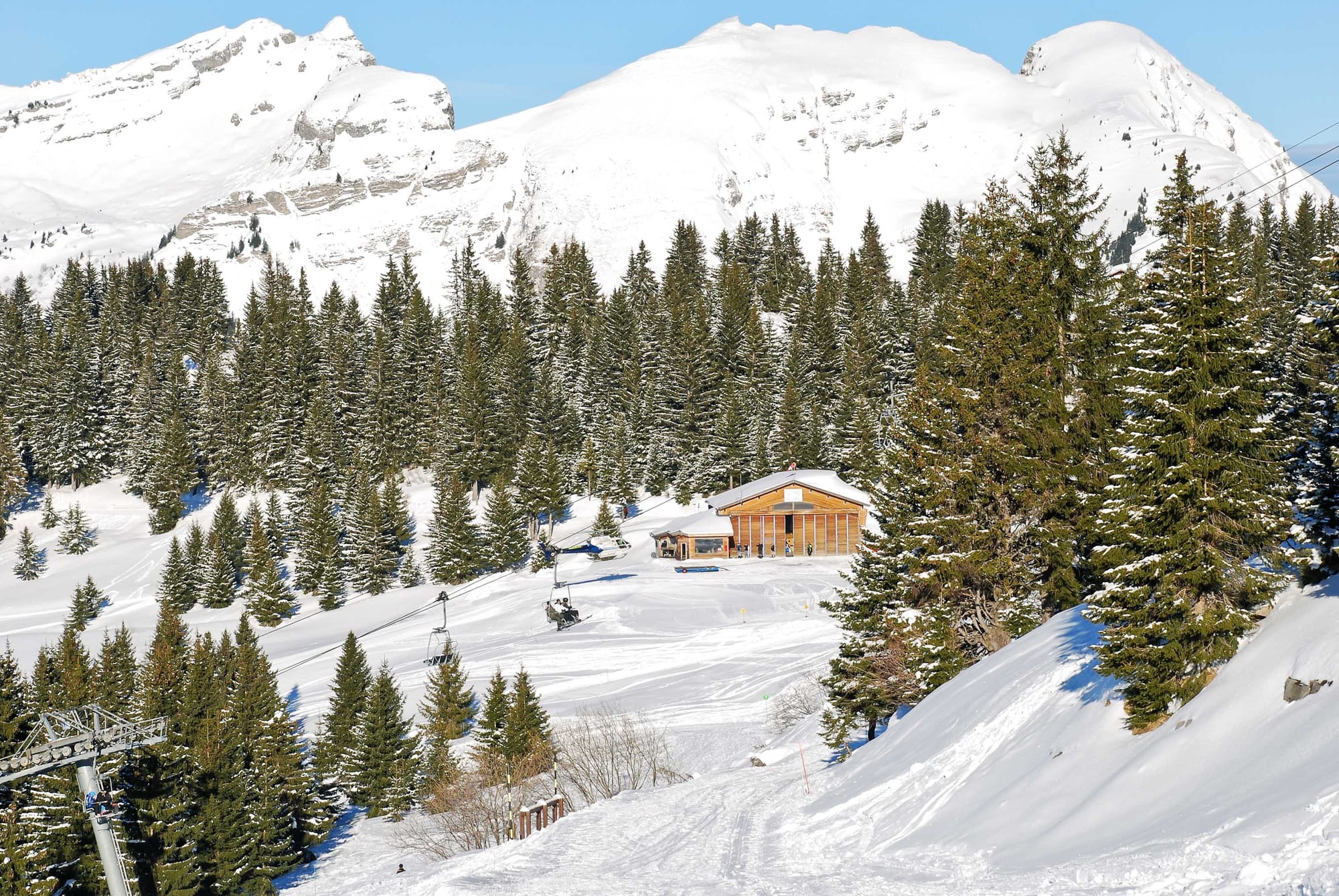 Lots of pine trees with a smattering of snow with a dramatic mountain ridge behind.