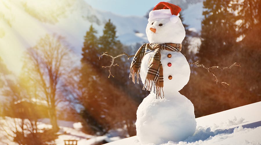 Snowman with trees and mountain behind