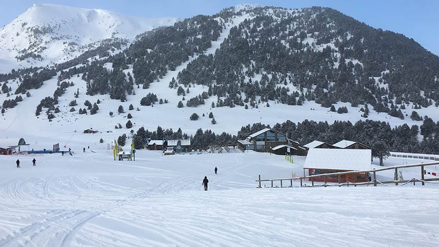 Ski slopes in the Grandvalira with lots of trees