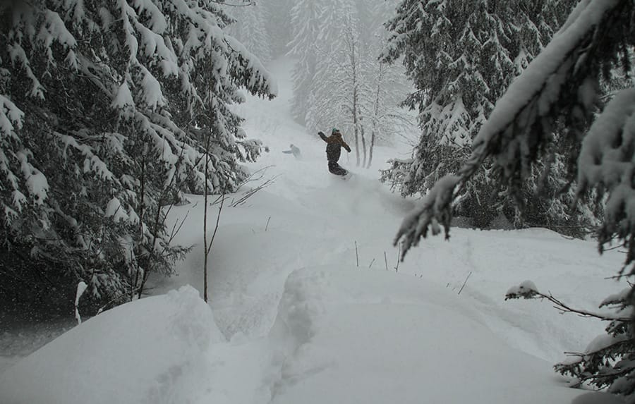 Person snowboarding through thick snow in trees in Lindarets