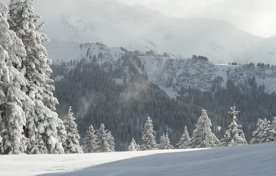 View of mountains with lots of trees in Lindarets