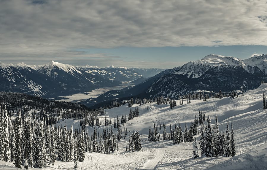 View of mountains and trees in Kicking Horse