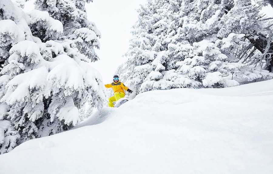 Top 5 tree ski runs