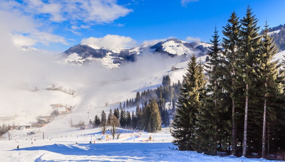 Soll ski slopes surrounded by trees