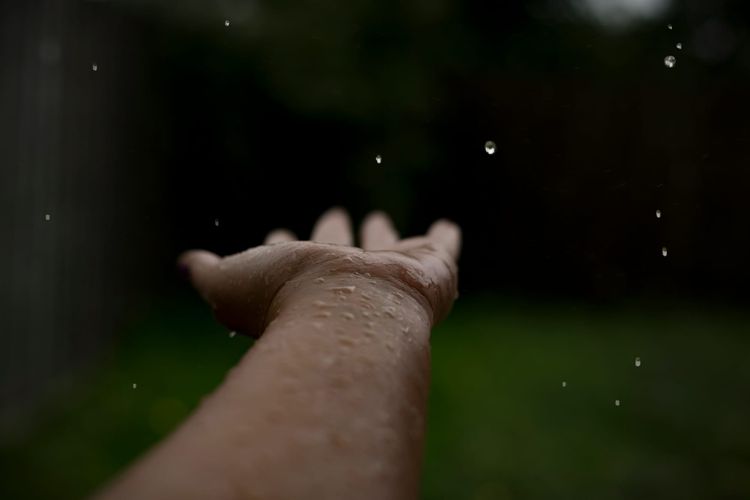 Journey of Water 08 - The Alchemy of Intention