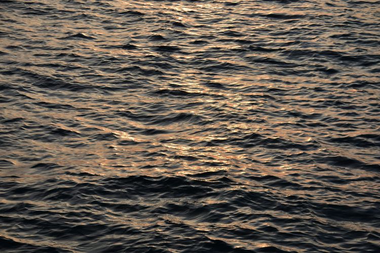 Journey of Water 09 - Primal Resilience