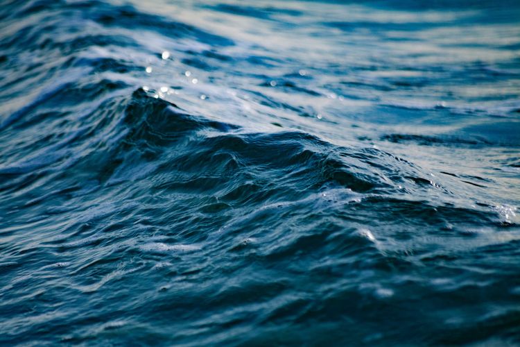 Journey of Water 15 - Breathing Life Back into the Glass (The Wisdom of Living Water)