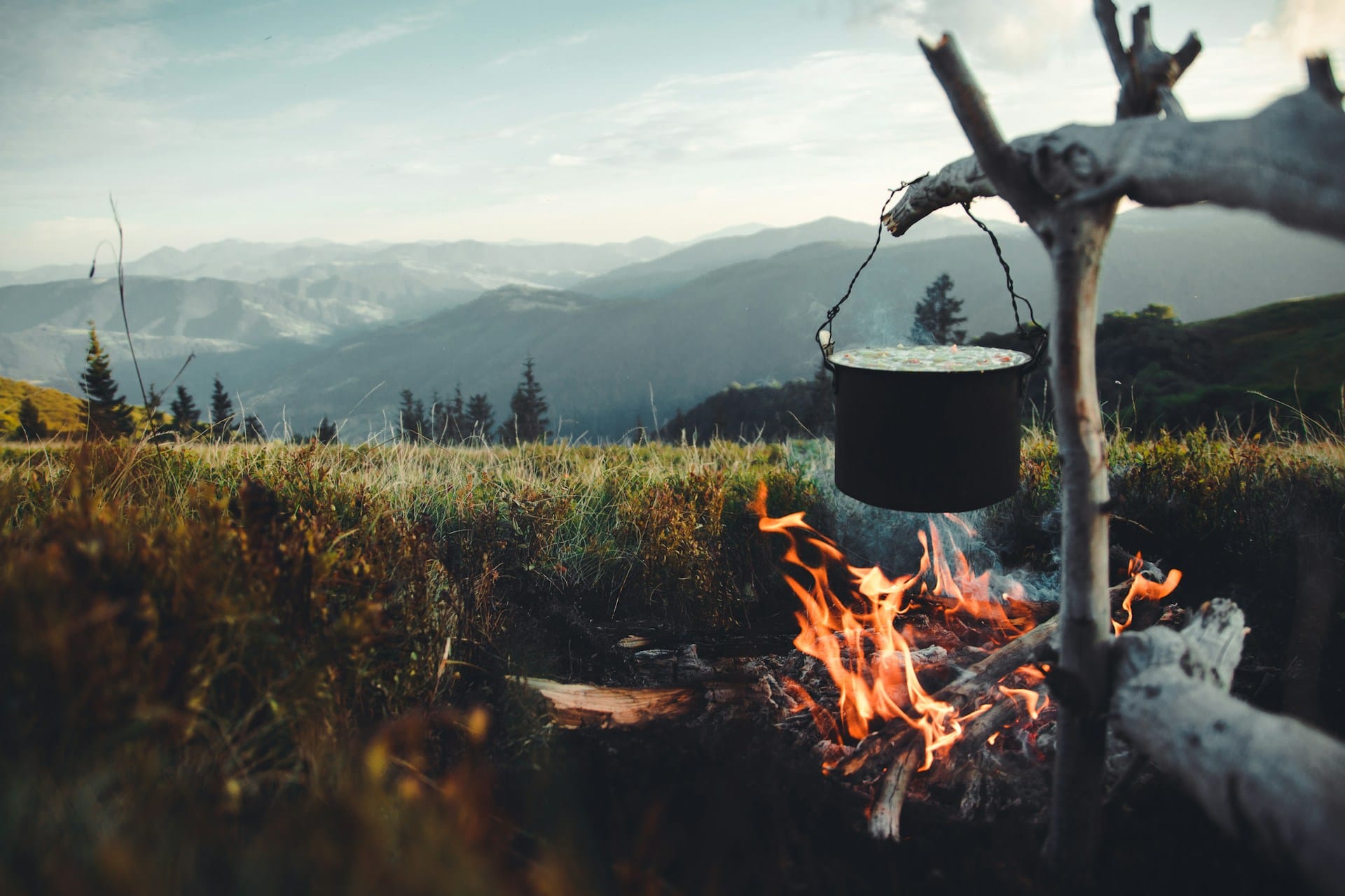 Field Notes on Earth & Food