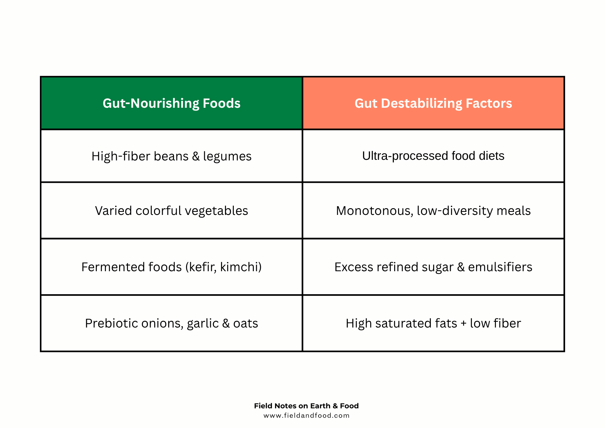 Information chart comparing Gut-Nourishing Foods (such as beans, diverse vegetables, and ferments) with Gut Destabilizing Factors (such as ultra-processed foods and artificial emulsifiers).