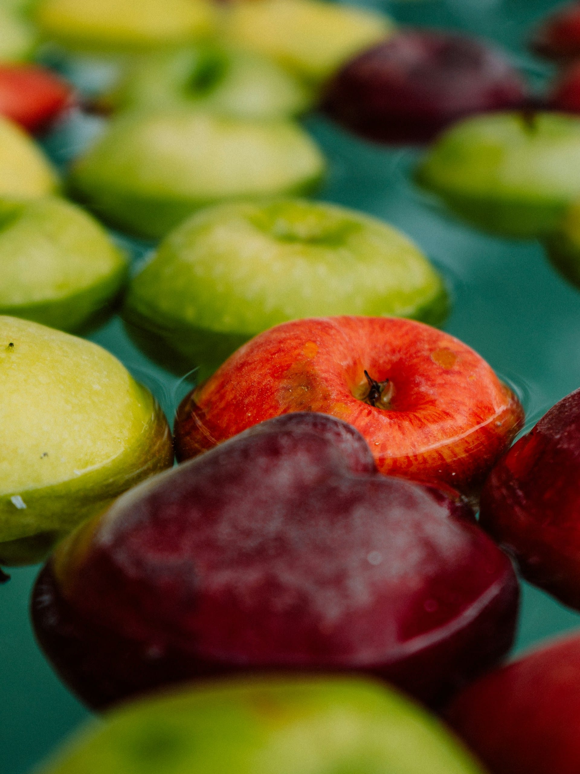 Close-up top-down view of vibrant red and green apples floating in a basin of clear water.