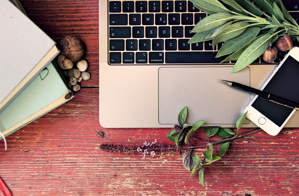 op-down view of a rustic red wooden desk with a laptop, smartphone, pen, stack of books, sea shells, fresh sage, and purple basil sprigs.
