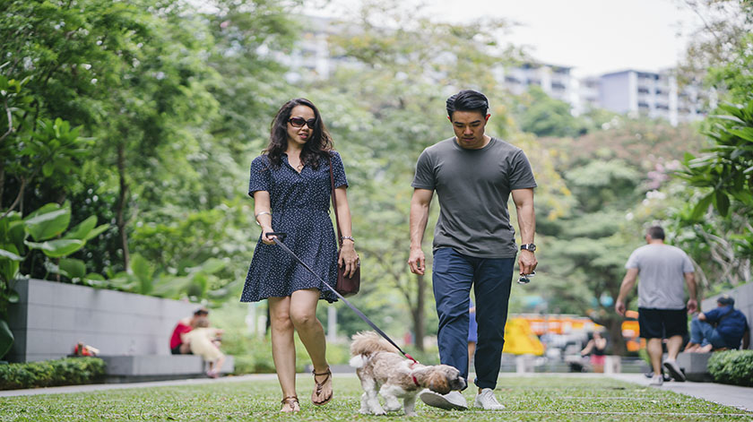 2.8-walk