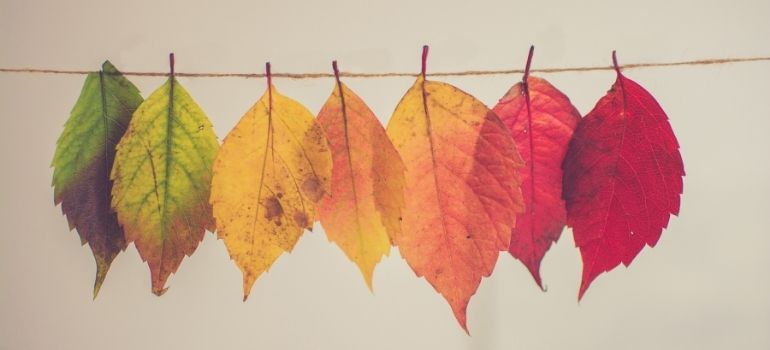 Untitled-design--45-